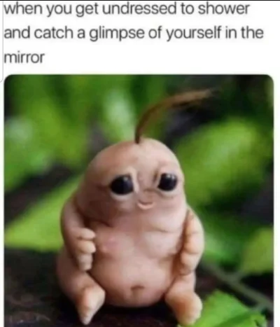 Screenshot 2025-04-23 202559.webp