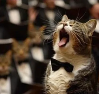 Screenshot_20250502_194050_Samsung Internet.webp Screenshot_20250502_194050_Samsung Internet.webp