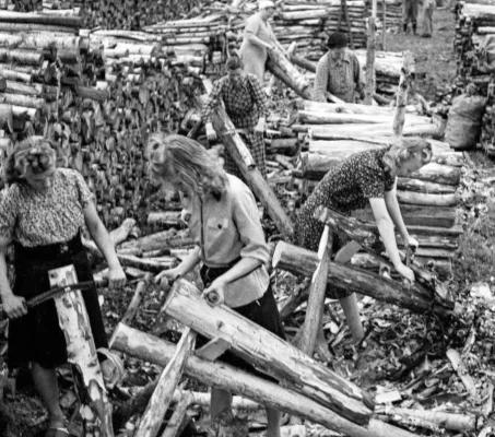 Screenshot_20250505_132044_Samsung Internet.webp