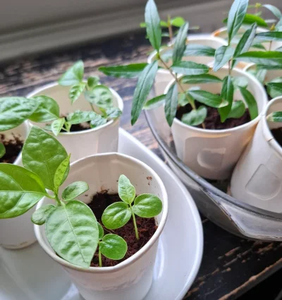 20250509_130501.webp 20250509_130501.webp