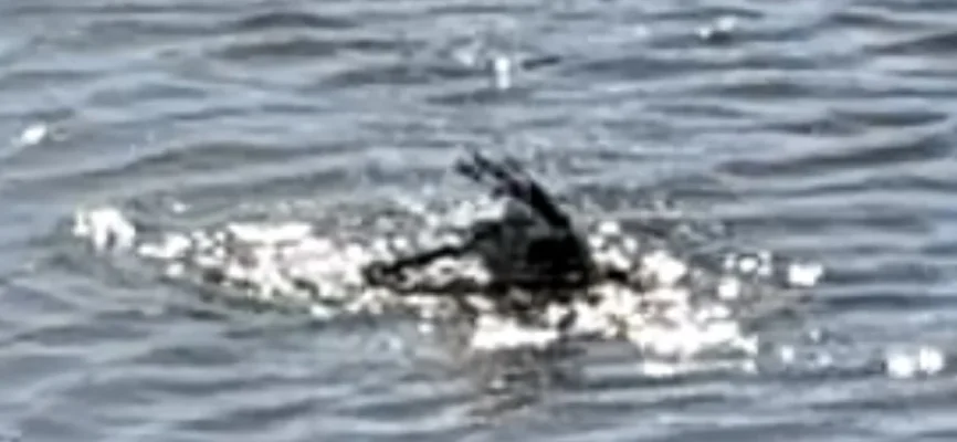 IMG_4630.webp IMG_4630.webp