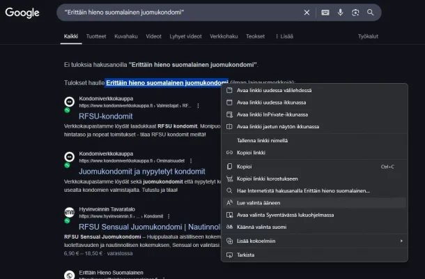 Näyttökuva 2025-05-13 123525.webp