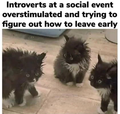 16648dd8-74fd-4d34-84b2-30da62ef4ae4.webp 16648dd8-74fd-4d34-84b2-30da62ef4ae4.webp