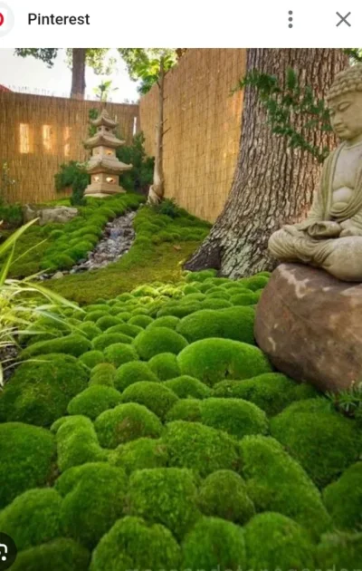 Screenshot_20250519_125715_Samsung Internet.webp