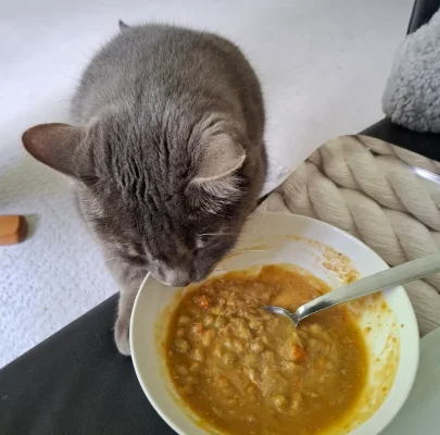 20250529_124730.webp 20250529_124730.webp