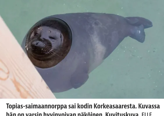 Screenshot_20250530_170813_Samsung Internet.webp