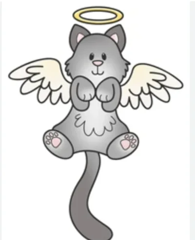 Screenshot_20250605_205732_Samsung Internet.webp