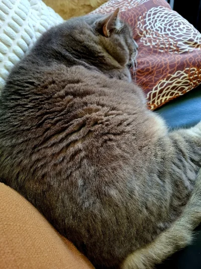 20250613_135014.webp 20250613_135014.webp