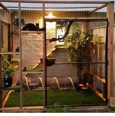 Screenshot_20250619_131122_Samsung Internet.webp