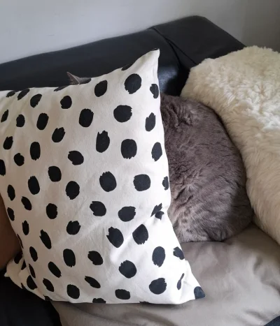 20250629_135740.webp 20250629_135740.webp