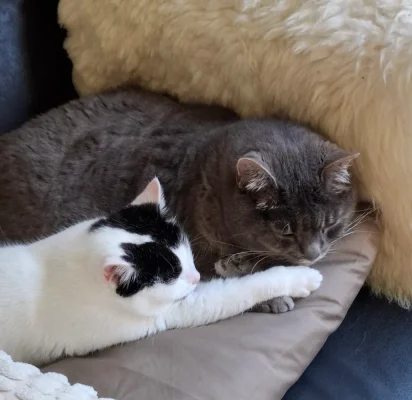 20250630_135610.webp 20250630_135610.webp