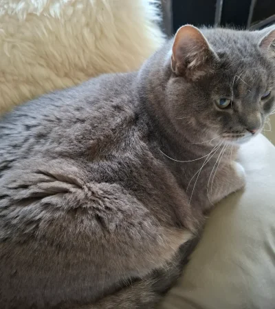 20250704_085036.webp 20250704_085036.webp