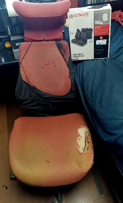 20250714_154739.webp 20250714_154739.webp