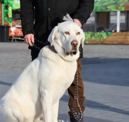 Screenshot_20250716_164200_Chrome.webp Screenshot_20250716_164200_Chrome.webp