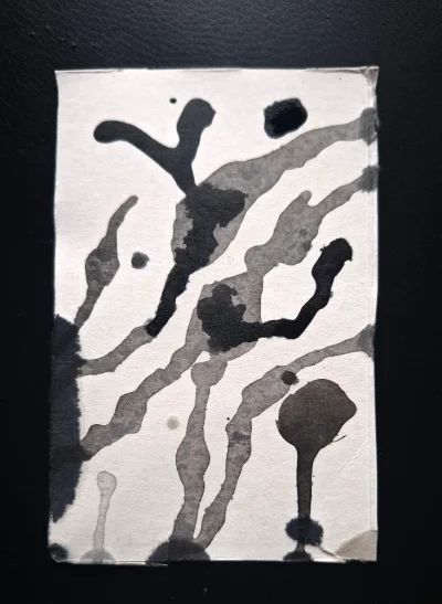 20250721_193711.webp 20250721_193711.webp