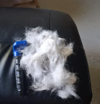 20250723_082142.webp 20250723_082142.webp