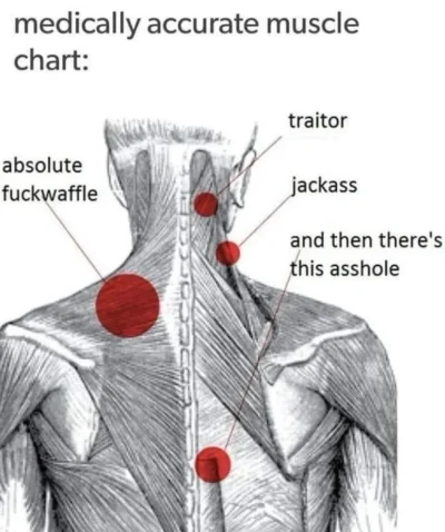 Screenshot 2025-07-26 165012.webp