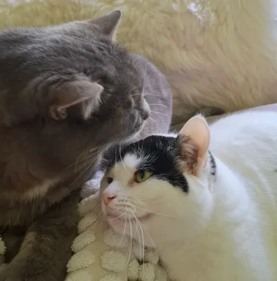 20250706_121841.webp 20250706_121841.webp