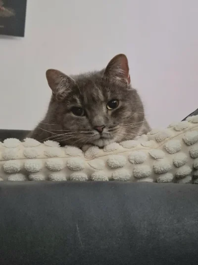 20250807_061353.webp 20250807_061353.webp