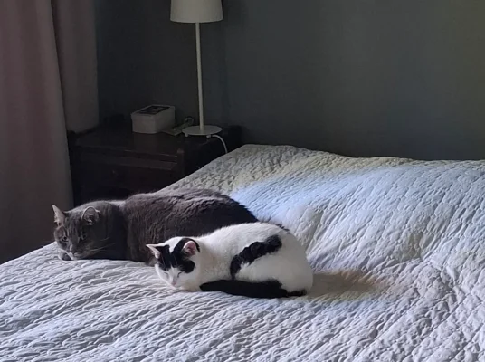 20250813_084617.webp 20250813_084617.webp