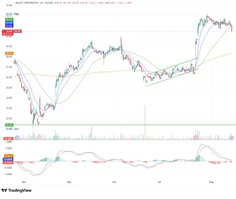 Valmet 14.08.2025.webp