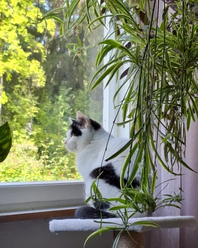 20250823_121306.webp 20250823_121306.webp