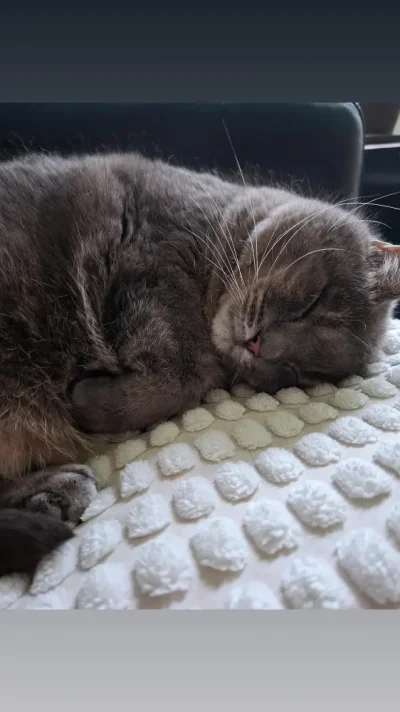 IMG_20250828_162149_346.webp IMG_20250828_162149_346.webp