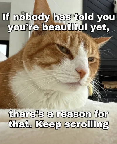 Screenshot 2025-09-03 161425.webp