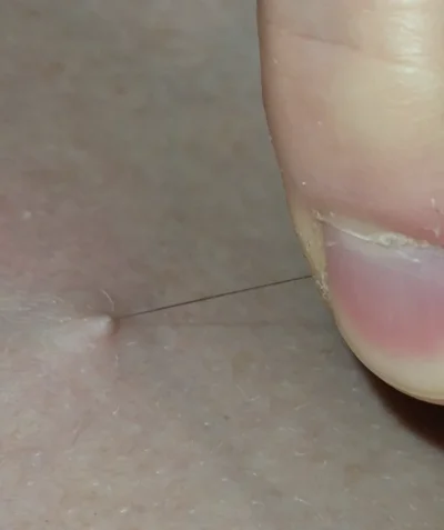 Screenshot_20250915_211248_Gallery.webp Screenshot_20250915_211248_Gallery.webp