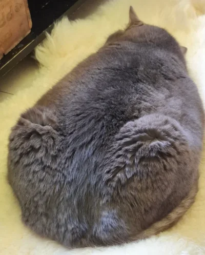 20250823_132004.webp 20250823_132004.webp