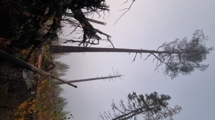 20250927_064053.webp 20250927_064053.webp