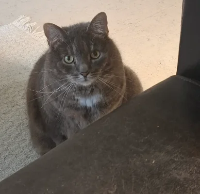 20251101_100723.webp 20251101_100723.webp