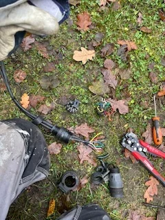 IMG_5602.webp IMG_5602.webp