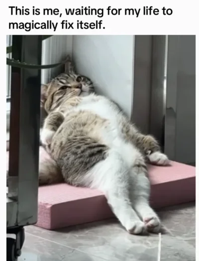 Screenshot 2025-11-24 113958.webp