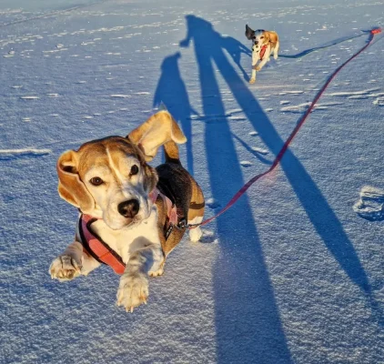 Näyttökuva 2025-12-12 081156.webp