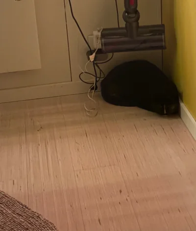 IMG_7224.webp IMG_7224.webp