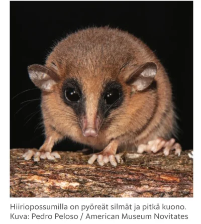 Screenshot_20260104_124042_Chrome (1).webp