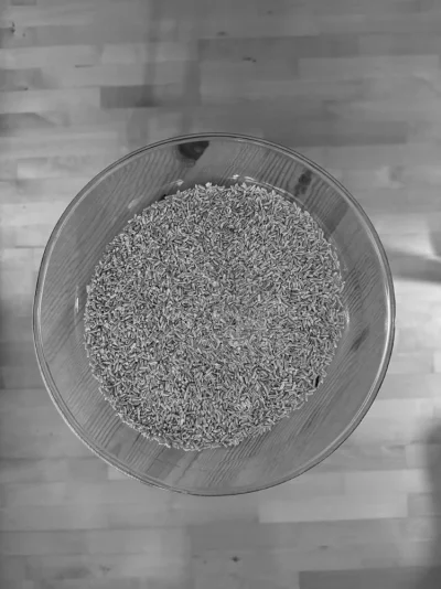 IMG_9578.webp IMG_9578.webp