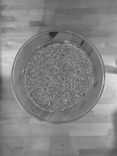 IMG_9577.webp IMG_9577.webp