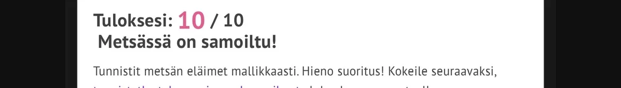 IMG_4896.webp IMG_4896.webp