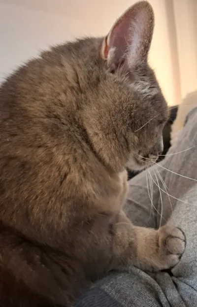 20260123_161051.webp 20260123_161051.webp