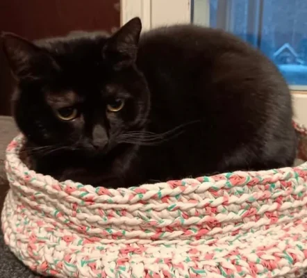 Screenshot_20260216_080235_Facebook (1).webp