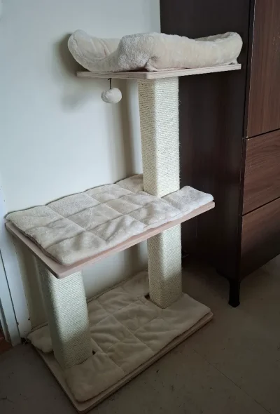 20260216_142000.webp 20260216_142000.webp