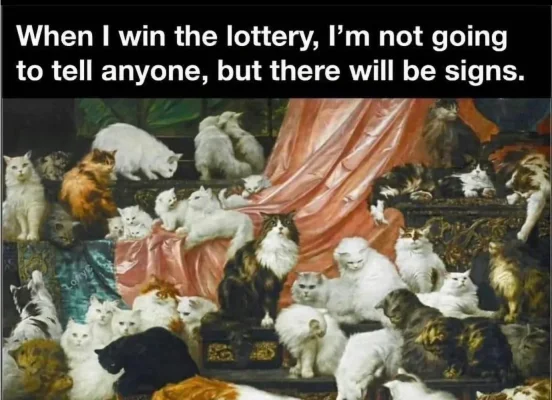 Screenshot_20260228_213115_Chrome (1).webp