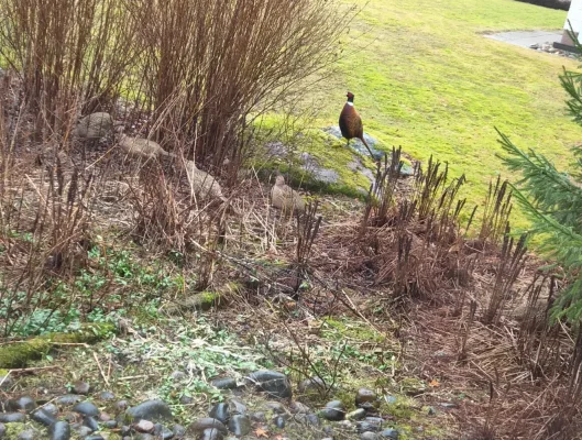 20260325_160608.webp 20260325_160608.webp