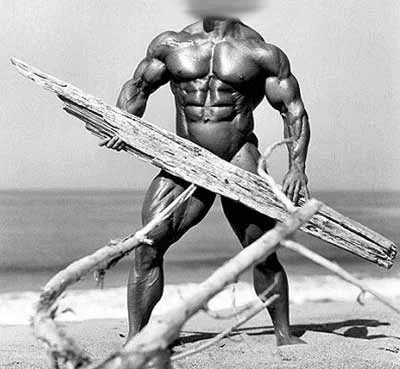 gesshuu8.webp gesshuu8.webp