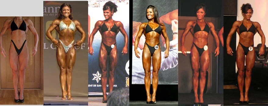 linda vertailut copy.webp