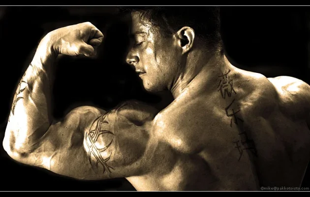 design pakkis mustatausta.webp