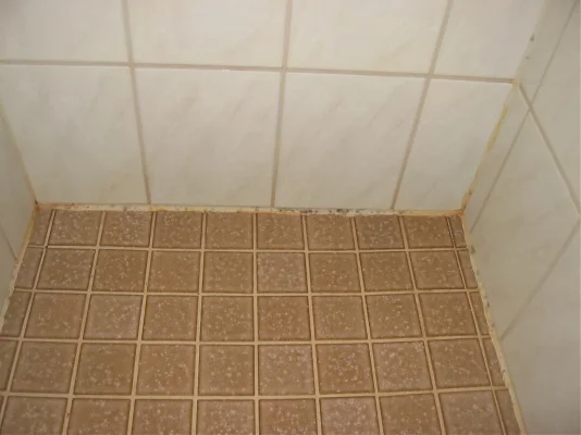 IMG_4991.webp IMG_4991.webp