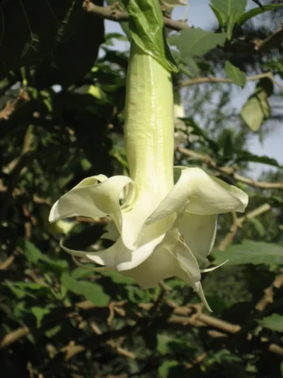 Talvi 2006-2007 058.webp